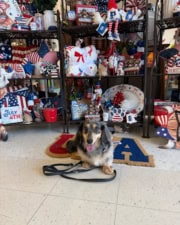 Off Leash K9 Training of Oklahoma featured image for this Dog Trainer