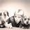 DogRelations NYC logo