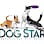 DogStar, LLC logo