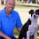 Doggie Steps Dog Training LLC logo