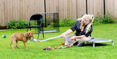 Respectful Communications Animal Training LLC featured image for this Dog Trainer