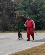 The Bark Side Canine Training featured image for this Dog Trainer
