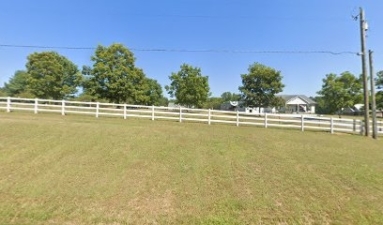 Cruisin’ Canines featured image for this Dog Trainer