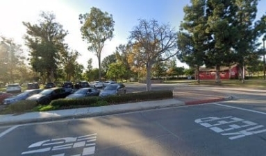 Dogwood K-9 Training Experience featured image for this Dog Trainer