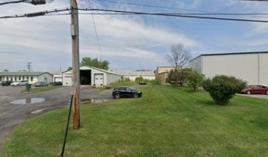 Dottie’s Dog School featured image for this Dog Trainer