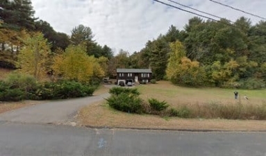 Drew’s Dogs of Ellington featured image for this Dog Trainer