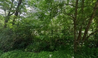 EuroHund German Shepherds featured image for this Dog Trainer