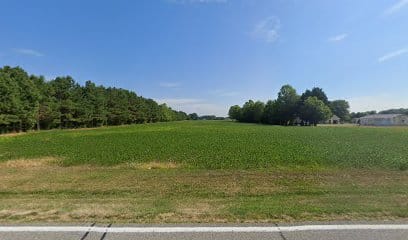 Delmarva German Shepherd Dog Club featured image for this Dog Trainer