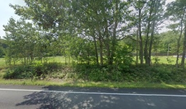 Crawmers Grooming & Training featured image for this Dog Trainer