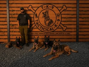 TK9 Miami Tactical K-9 featured image for this Dog Trainer